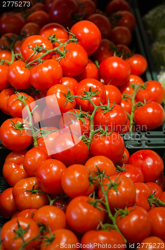Image of background of red tomatoes with sprig  