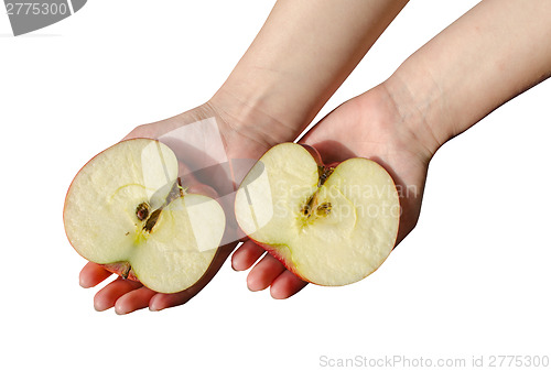 Image of woman hold palms sawn apple sides with brown seeds 