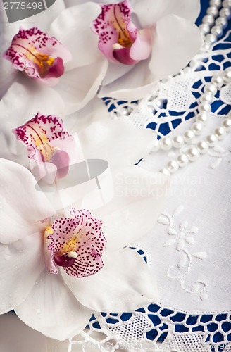 Image of Close-up of white orchids flowers