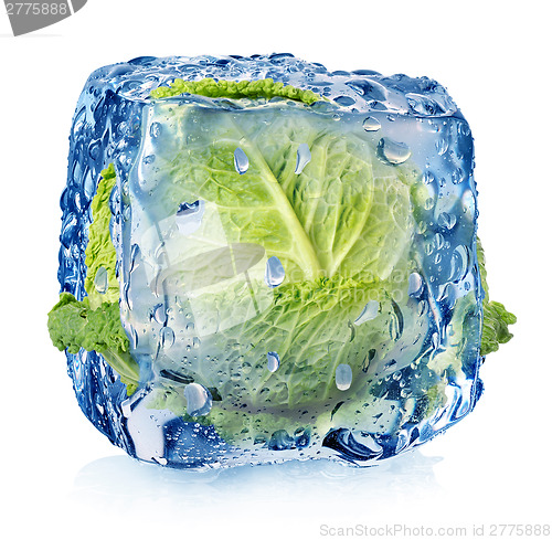 Image of Ice cube with brussel sprouts