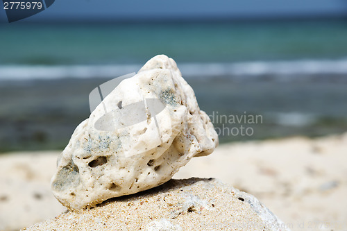 Image of Oman beach stone