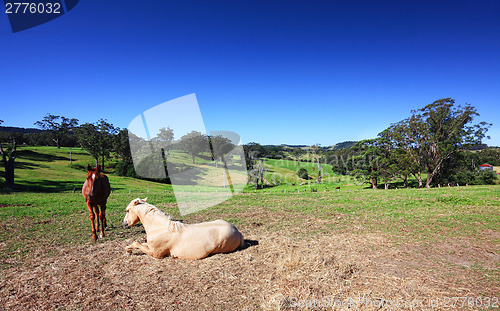 Image of Picturesque Australian landscape