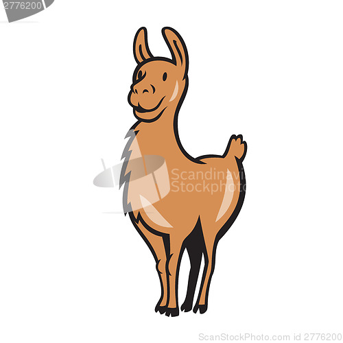 Image of Llama Cartoon
