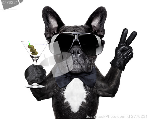 Image of peace cocktail dog 