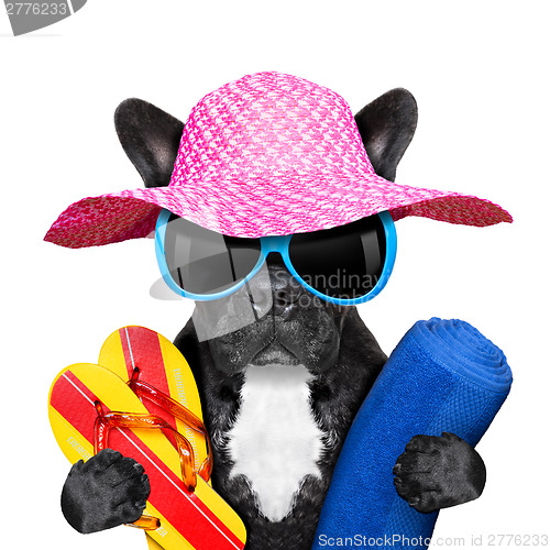 Image of french bulldog  on vacation 