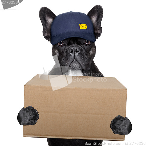 Image of delivery post dog