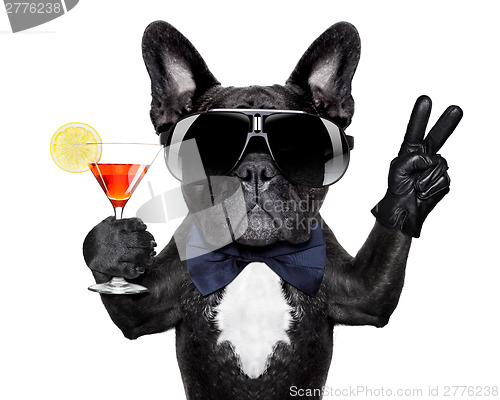 Image of cocktail dog 