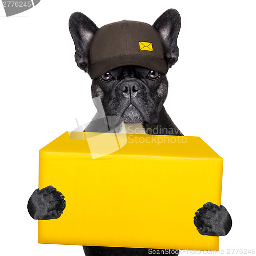 Image of delivery post dog