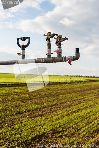 Image of irrigation on lettuce fields