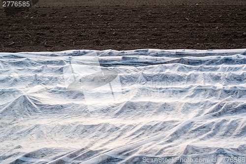 Image of Field with greenhouse