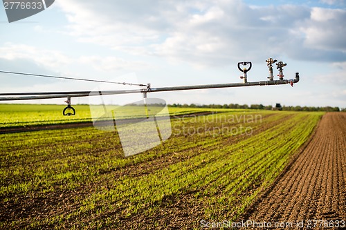 Image of irrigation on lettuce fields