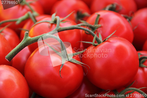 Image of Tomato