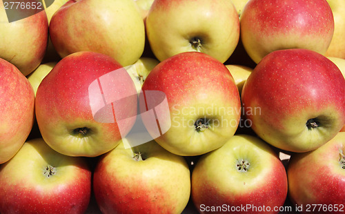 Image of Idared apples