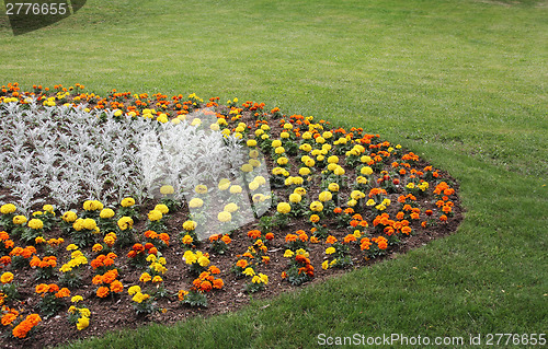 Image of Yellow and orange  flowers