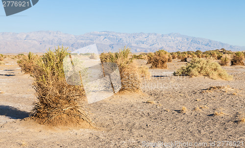 Image of Death Valley Desert