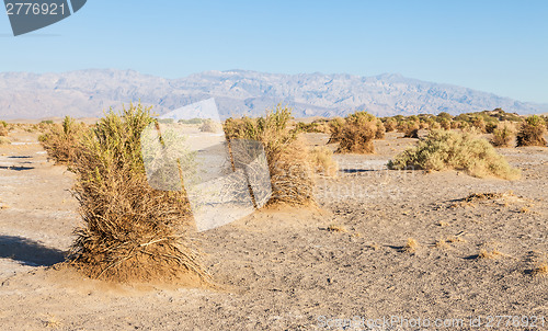 Image of Death Valley Desert