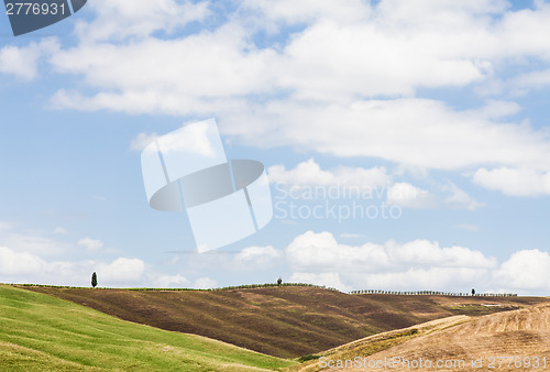 Image of Tuscany agriculture