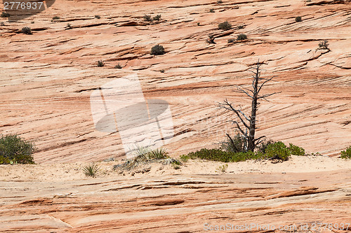 Image of Zion National Park