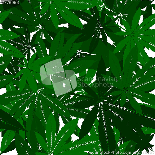 Image of Marijuana Leaves  Pattern