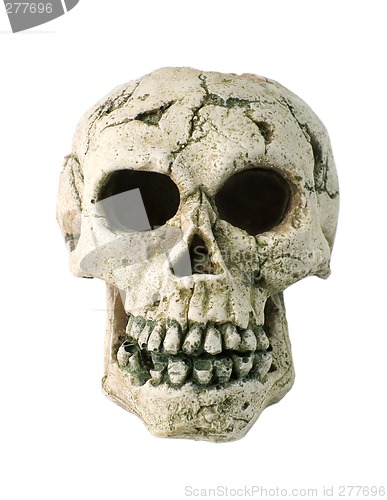 Image of skull