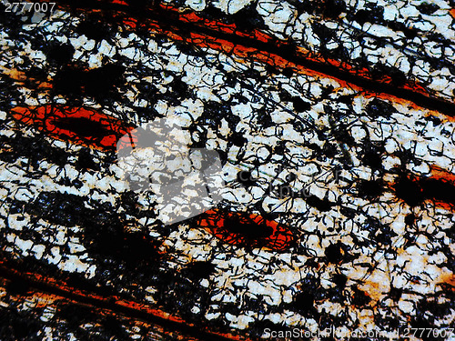 Image of Destroyed cells