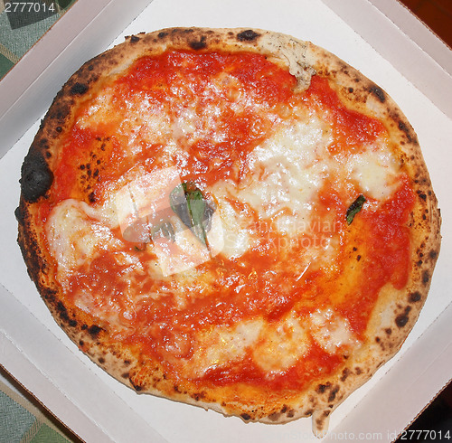 Image of Pizza Margherita