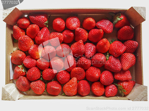 Image of Strawberries fruits