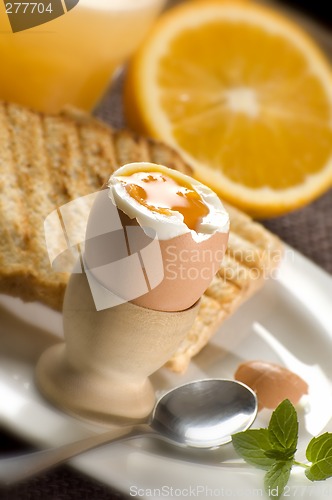 Image of egg