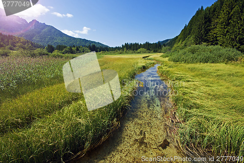 Image of River