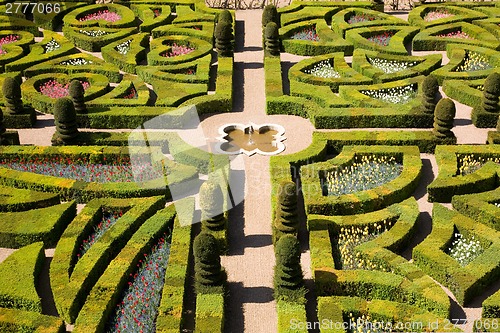 Image of Gardens of Villandry