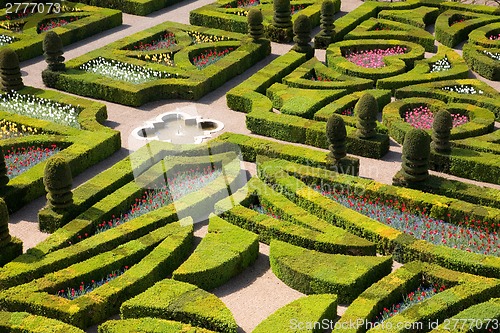 Image of Gardens of Villandry