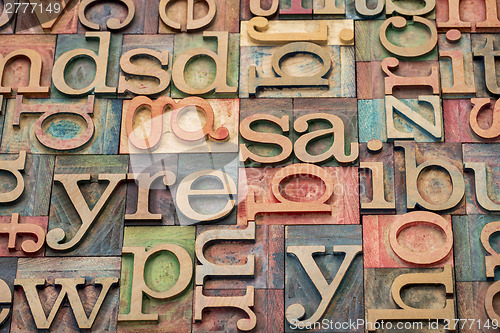 Image of wood type printing blocks