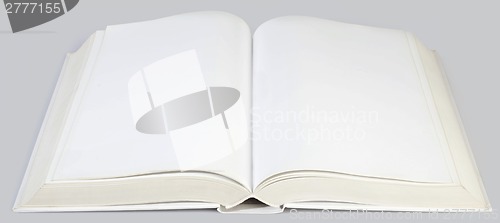 Image of Middle of the Book Cutout