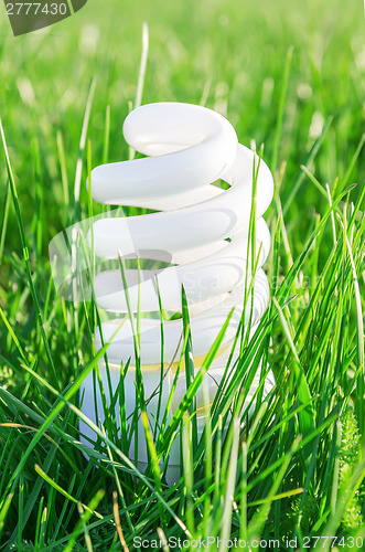 Image of eco bulb in green grass