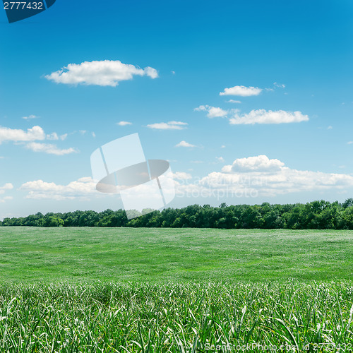 Image of green grass field and blue sky