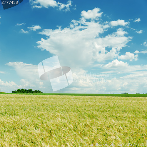 Image of blue cloudy sky and green field