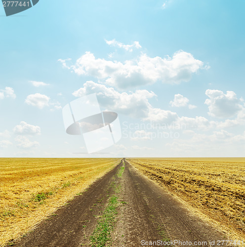 Image of road in golden field and clouds over it