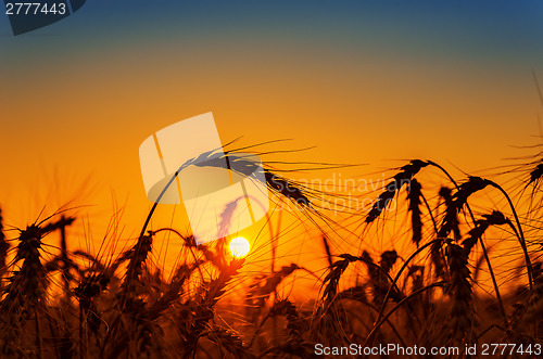 Image of red sunset over field with harvest