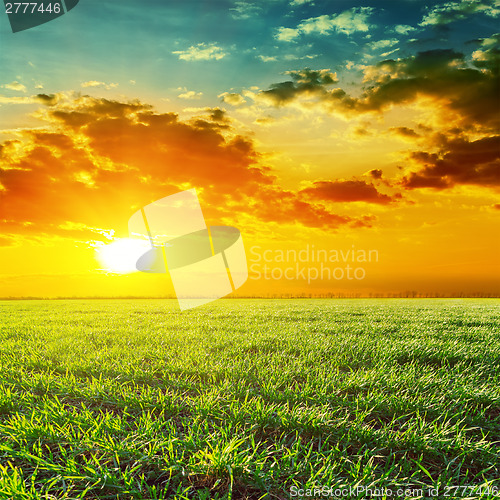 Image of orange sunset over green grass field