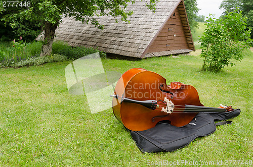 Image of contrabass musical instrument on summer grass 