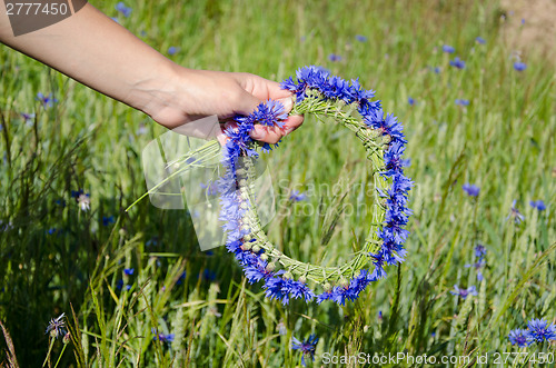Image of cornflower crown woman hands on meadow background