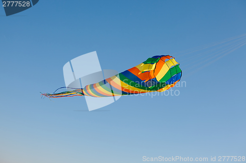 Image of Kite in the air