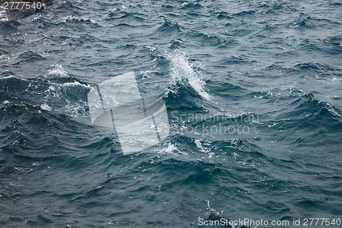 Image of Stormy Waves