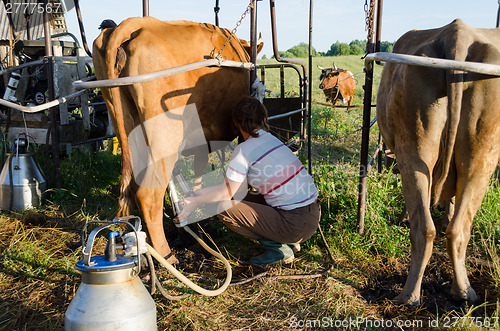 Image of farmer using new technologies in milking cows 