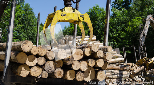 Image of heavy work equipment loading with clipper cut logs 