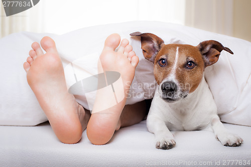 Image of sleeping dog and owner