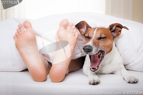 Image of sleeping dog and owner