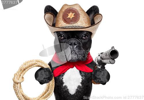 Image of cowboy dog