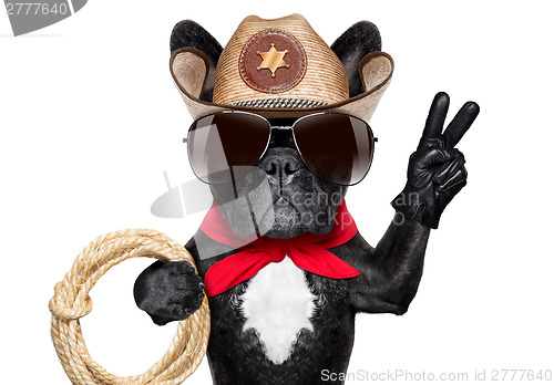 Image of cowboy dog