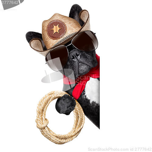 Image of cowboy dog